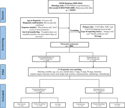 Gradient differences of immunotherapy efficacy in metastatic melanoma related to sunlight exposure pattern: A population-based study